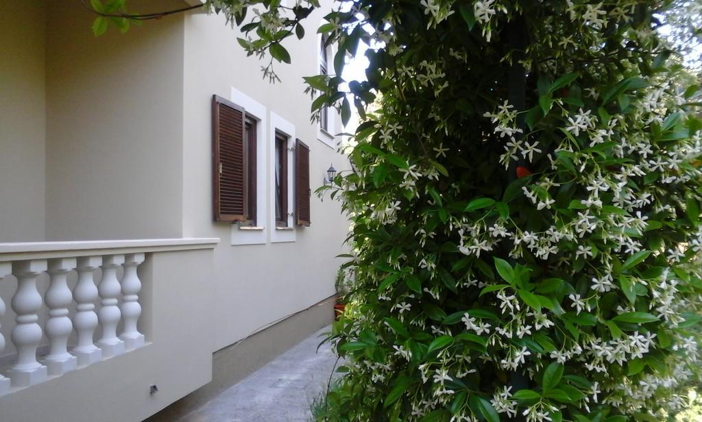 Apartments Rozelyn Ugljan Chambre photo